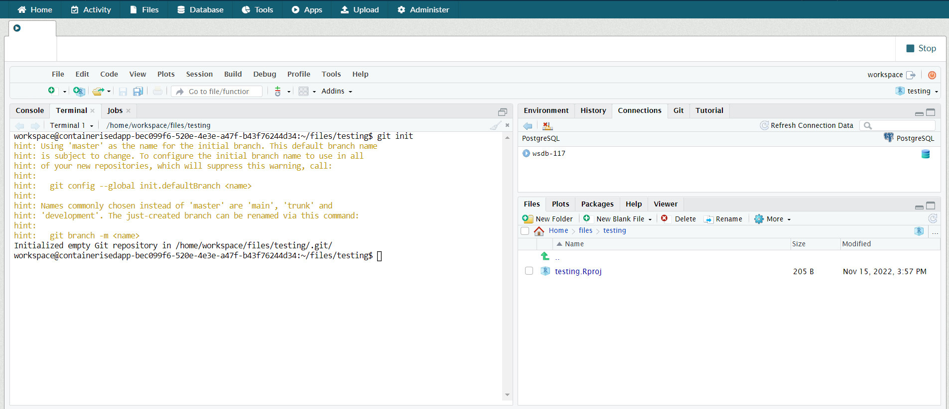 R Development Environment